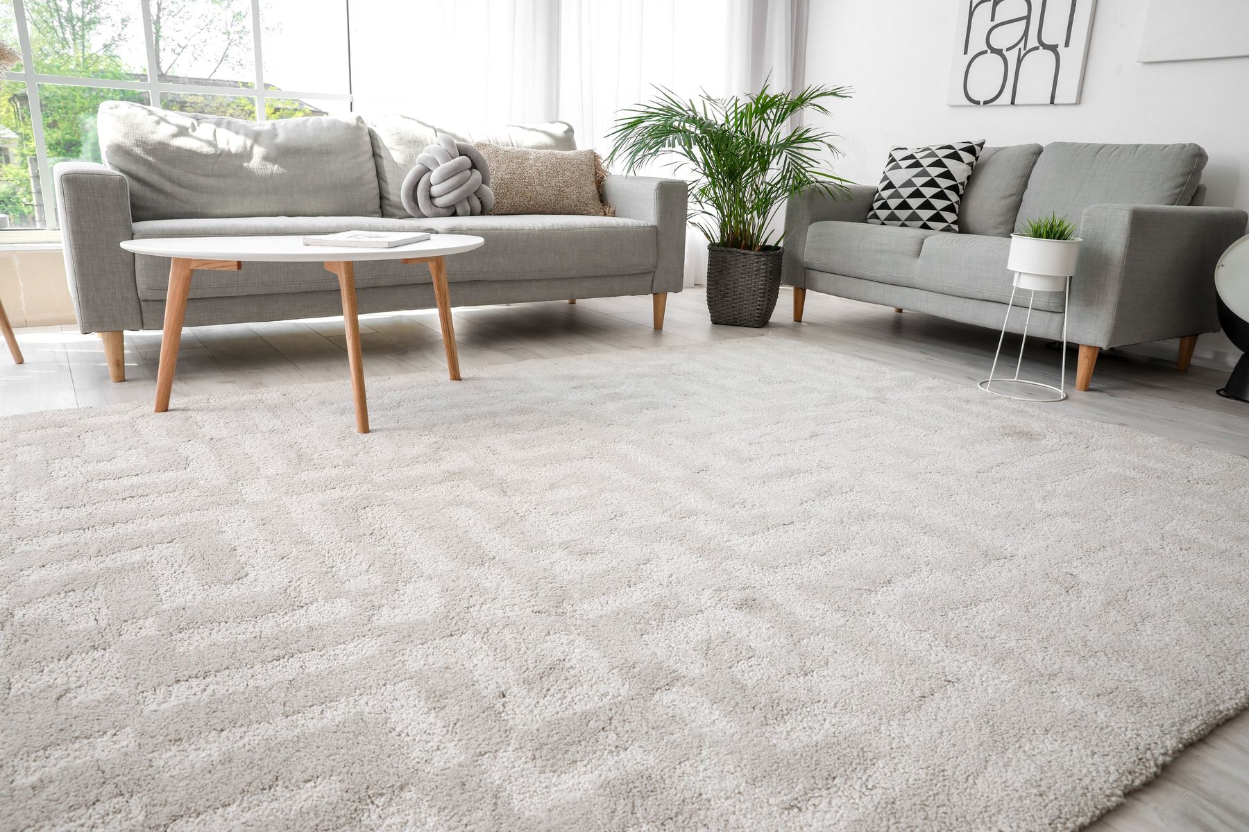Plush living room carpet
